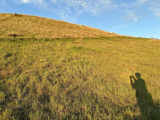 Camel’s Back Park by null