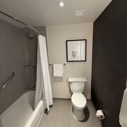 Sheraton Park Hotel at the Anaheim Resort - Bathroom