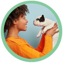 Dolphin Waters Healing - What is your pet thinking?