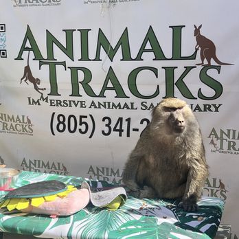 Animal Tracks - Zoos Near Me - Agua Dulce, California Animal Tracks - Zoos Near Me - Agua Dulce, California