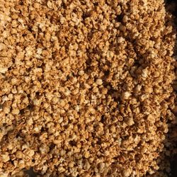 Kettle Corn King - Our decadent Caramel is AMAZING!!!