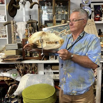 Discovery Antiques - Peter the great himself and a grizzly bear skull - Antiques Near Me - Kealakekua, Hawaii Discovery Antiques - Peter the great himself and a grizzly bear skull - Antiques Near Me - Kealakekua, Hawaii