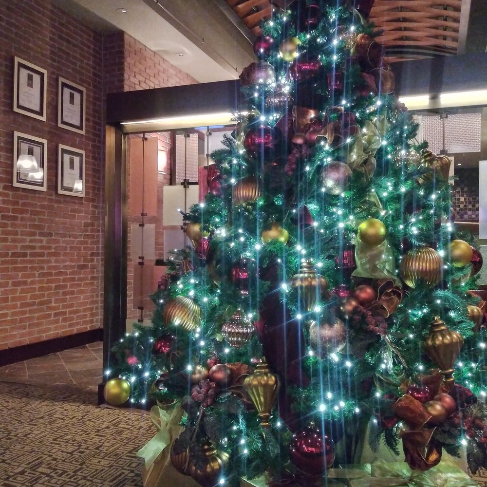 C2 Steak & Seafood - The holiday season of 2019 - Steakhouses Near Me - Brooks, California C2 Steak & Seafood - The holiday season of 2019 - Steakhouses Near Me - Brooks, California