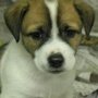 Photo of Sadie Mae Foundation