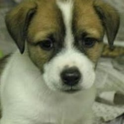 Sadie Mae Foundation