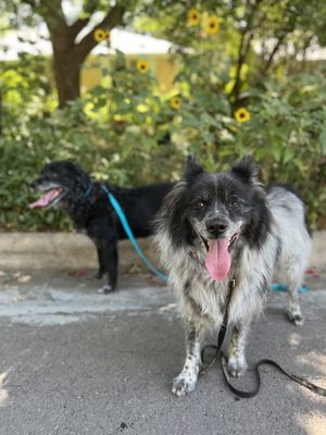 Central Market by null