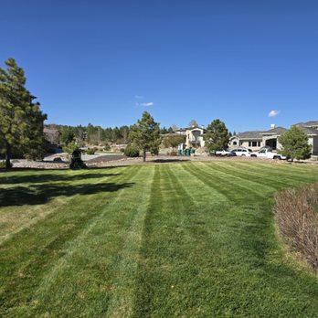 Lavish Lawns - Lawn Services Near Me - Monument, Colorado Lavish Lawns - Lawn Services Near Me - Monument, Colorado