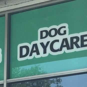 Odyssey Pets - Pet Stores Near Me - Dallas, Texas