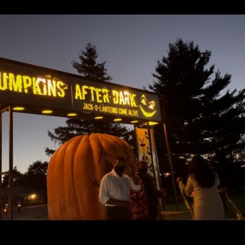 Pumpkins After Dark - Festivals Near Me - Milton, Ontario