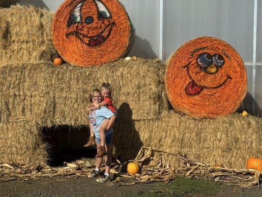 Bauman's Farm and Garden by null