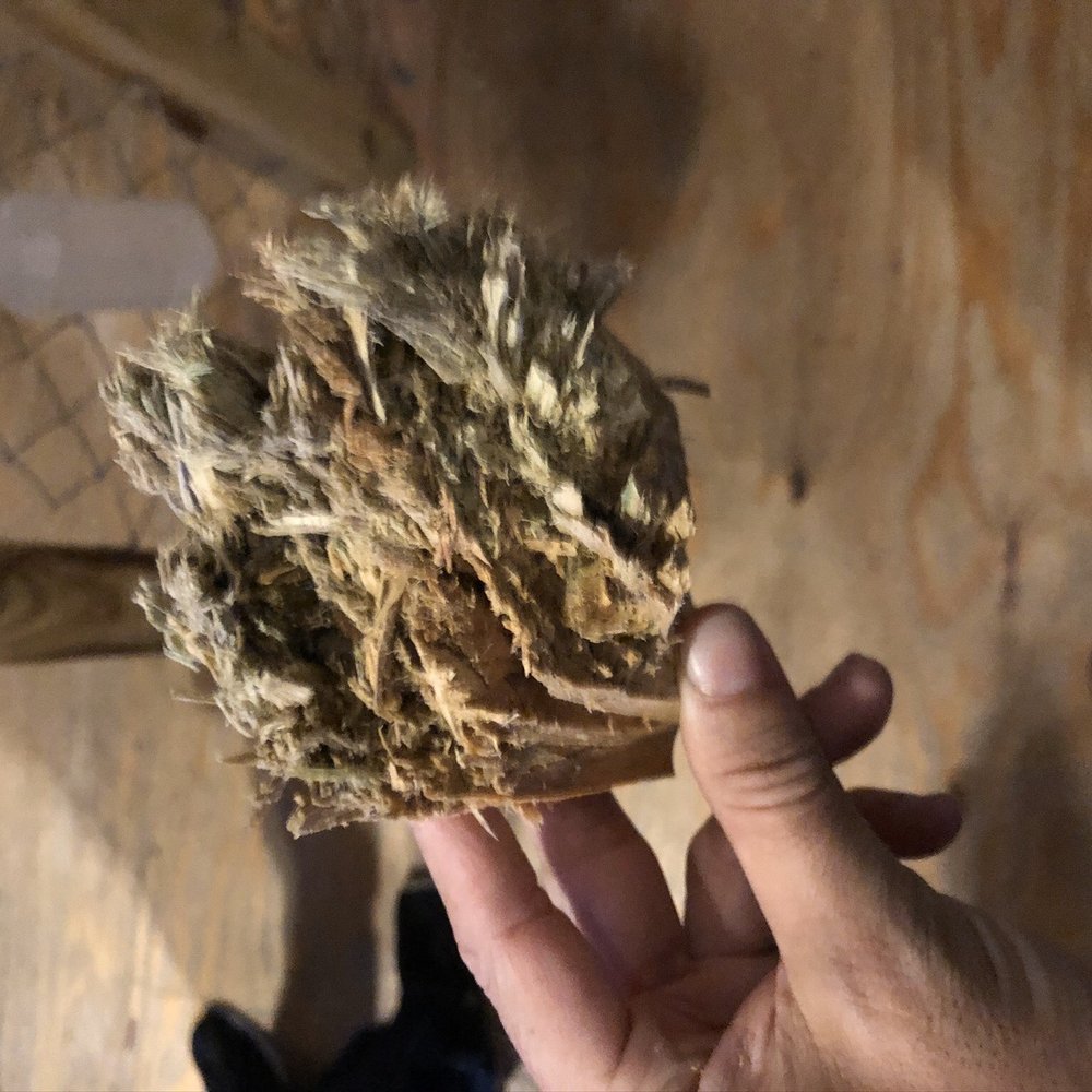 Extreme Axe Throwing Hollywood - I took a chunk out... - Axe Throwing Near Me - Hollywood, Florida Extreme Axe Throwing Hollywood - I took a chunk out... - Axe Throwing Near Me - Hollywood, Florida