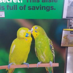 Cute poster inside the Pet Store. Cute poster inside the Pet Store.