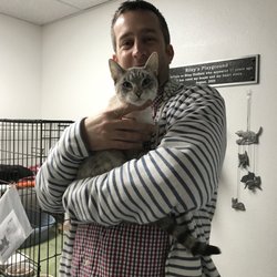 south bay pet adoption center