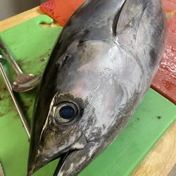 Red Hot Mama’s Fresh Mex - Freshly caught local fish is featured daily!