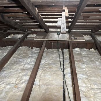 Attic Pros - Pest Control Near Me - Oakland, California
