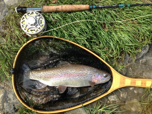 Hotel MOHR Life Resort by null