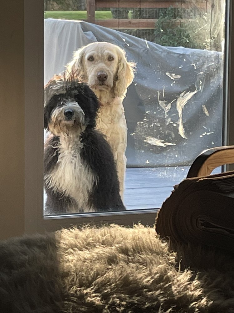 EASTGATE PET CLINIC Updated September 2024 27 Photos & 17 Reviews