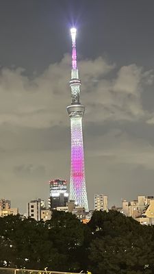 Richmond Hotel Premier Asakusa International by null