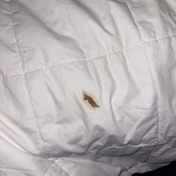 Quality Inn & Suites - Blood or poop. Who knows
