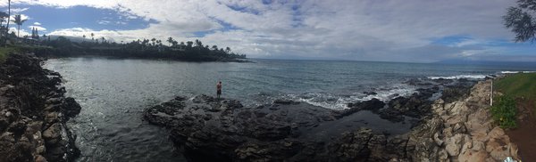 Honokeana Cove by null