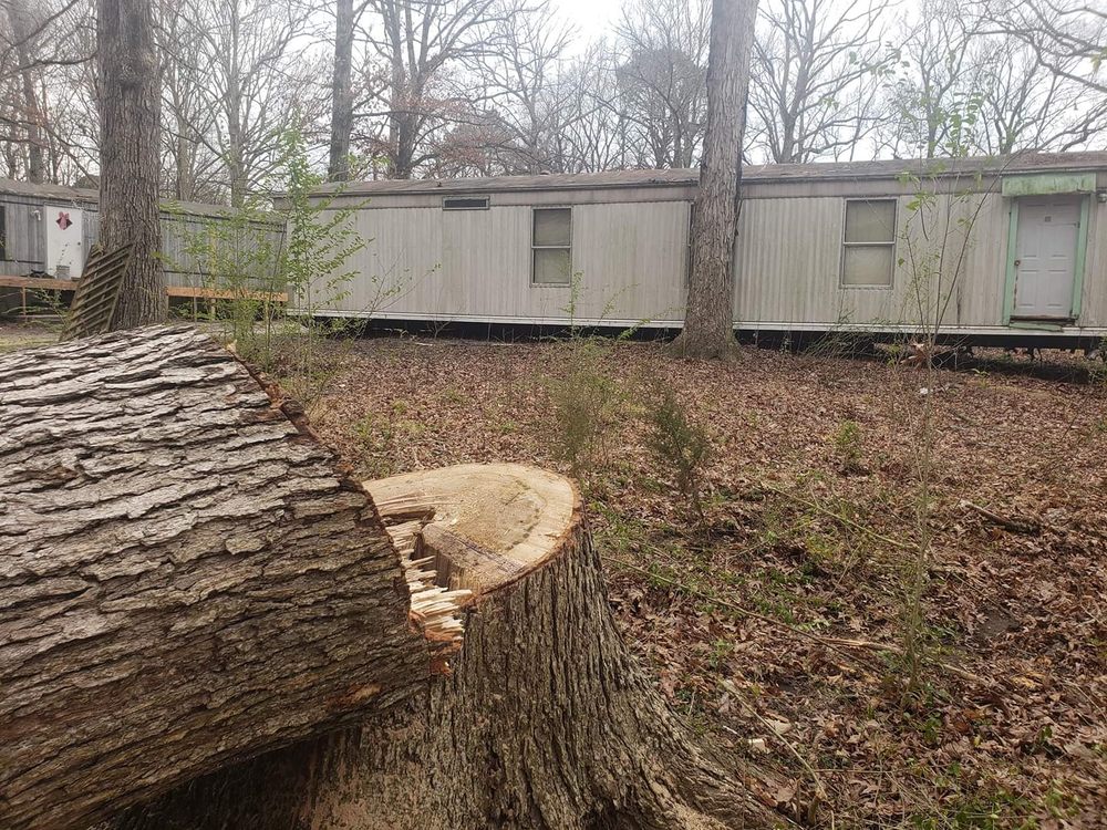 BORI TREE & LAWN Updated August 2024 14 Photos Wendell, North