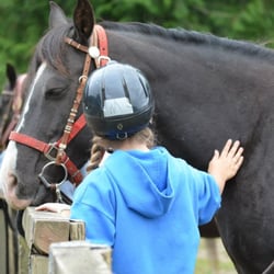 Sunset Lake Horsemanship
