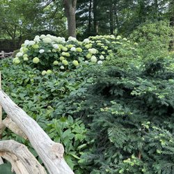 Shakespeare Garden