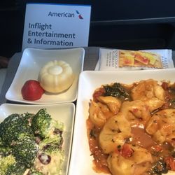 American Airlines - Cheese tortellini, broccoli salad, rustic flat bread wafers, and sponge cake.