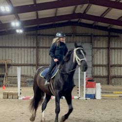 Stowe Farm - Me on my favorite boy!