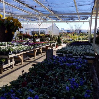 North Haven Gardens - After decades the place is updated and remodeled Looks great - Nurseries & Gardening Near Me - Dallas, Texas North Haven Gardens - After decades the place is updated and remodeled Looks great - Nurseries & Gardening Near Me - Dallas, Texas