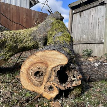 Zero Gravity Tree Service - Tree Services Near Me Zero Gravity Tree Service - Tree Services Near Me
