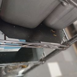 Waffle House - I saw a metal fork on the floor I'm disgusted and a rag used for cleaning on the FLOOR I am very disgusted with this establishment