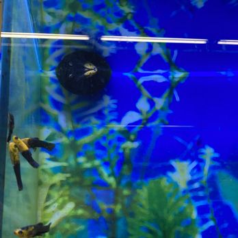Petco - Pet Stores Near Me - El Cerrito, California
