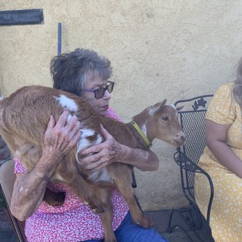 Party Goats LA - Event Planning & Services Near Me Party Goats LA - Event Planning & Services Near Me
