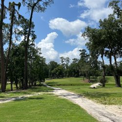 Hyde Park Golf Club - 16