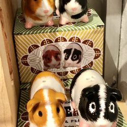 Fireworks Gallery - Guinea pigs salt & pepper shakers