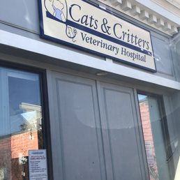 Exterior outside entrance of Cats & Critters Veterinary Hospital - Sign - Rochester, New York Exterior outside entrance of Cats & Critters Veterinary Hospital - Sign - Rochester, New York
