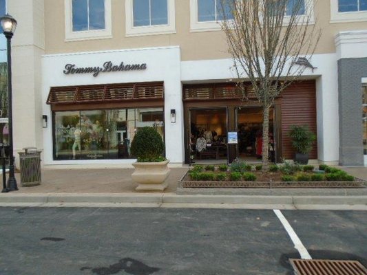 Tommy bahama avalon Clearance