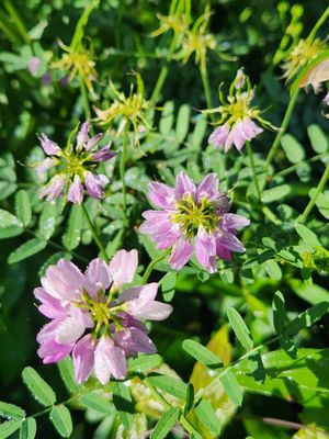 Castile Entrance / Letchworth State Park by null