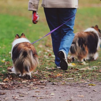 Guild Park and Gardens - dog walkers love this place! - Parks Near Me - Scarborough, Ontario Guild Park and Gardens - dog walkers love this place! - Parks Near Me - Scarborough, Ontario