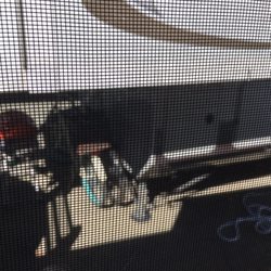 Calistoga RV Park - Stay anywhere else it is a parking lot. No shade no amenities. Wifi never works