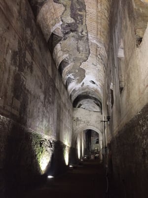 Domus Aurea by null