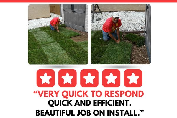 VERY QUICK TO RESPOND AND EFFICIENT. BEAUTIFUL.. - Irrigation Installation New Sod Installation Lawn Care Mulching Mowing Residential Landscapers Commercial Landscape Yard Clean Up & More! VERY QUICK TO RESPOND AND EFFICIENT. BEAUTIFUL.. - Irrigation Installation New Sod Installation Lawn Care Mulching Mowing Residential Landscapers Commercial Landscape Yard Clean Up & More!