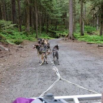 Alaska X - Tours Near Me - Skagway, Alaska