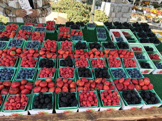 Temecula Farmer’s Market by null