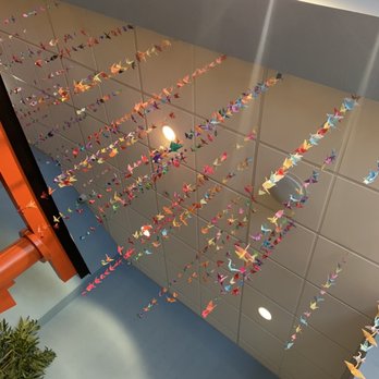 Treehouse Children's Museum - Children's Museums Near Me - Ogden, Utah