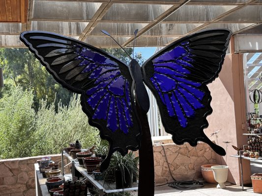 Boyce Thompson Arboretum by null