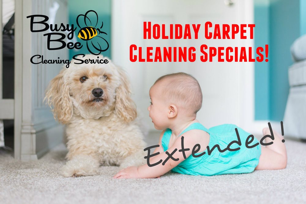 BUSY BEE CLEANING SERVICE 27283 Sd Hwy 115, Harrisburg, South Dakota