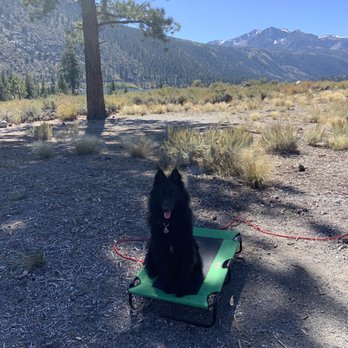 June Lake - Lakes Near Me