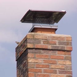 Blackburns Chimney Services - Chimney Cap keeping animals from entering the house